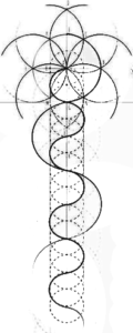 logoblk